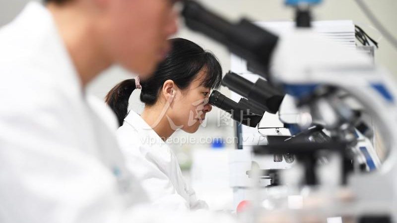 D细胞培养失败原因解析：常见问题与解决方案**