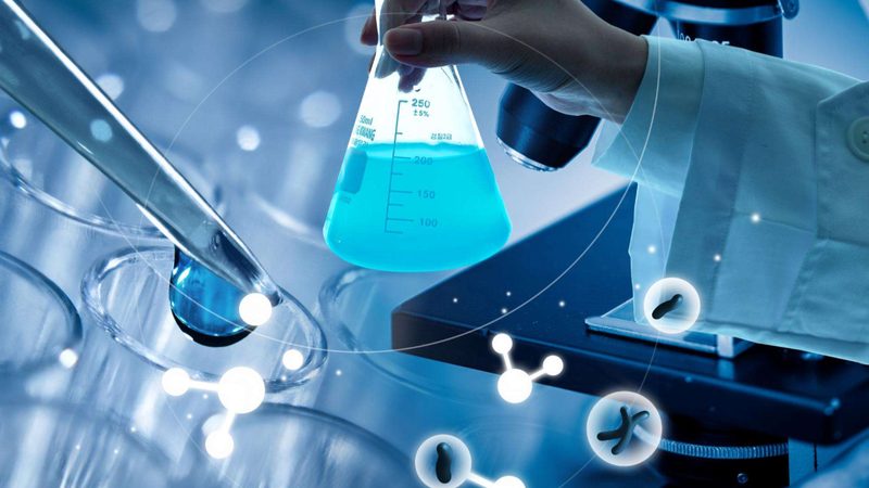 分子生物学试剂：实验规范的要点解析**