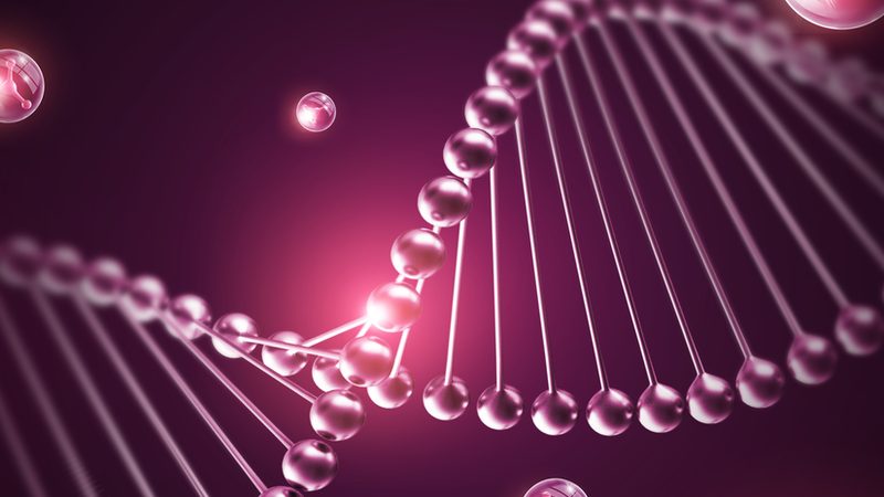 上海细胞工厂：揭秘生物制药领域的创新力量**