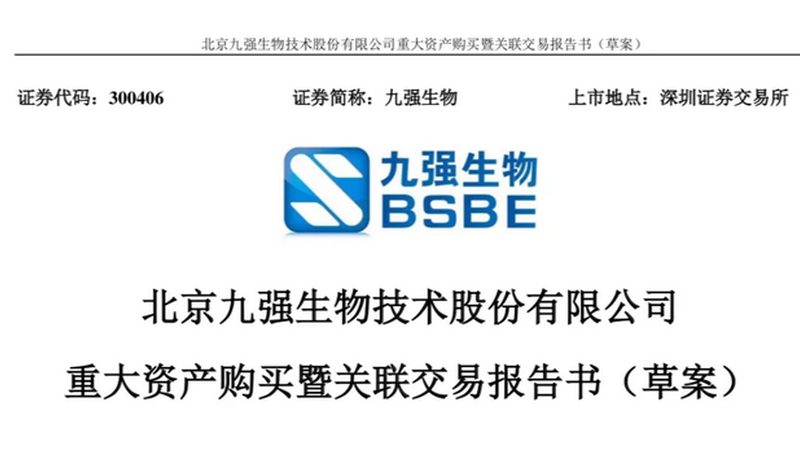 酶与酵素：揭秘两者之间的奥秘**