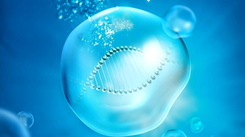 疫苗用细胞工厂规模化生产的奥秘：从原理到实践