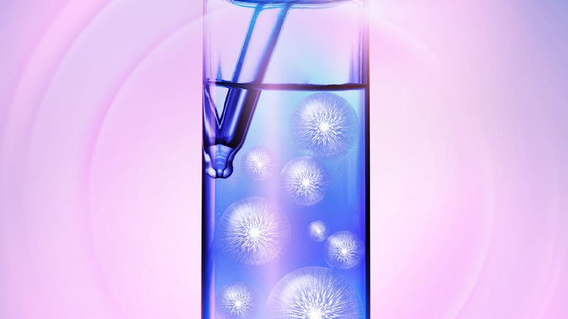细胞工厂建设：关键因素解析与选择指南