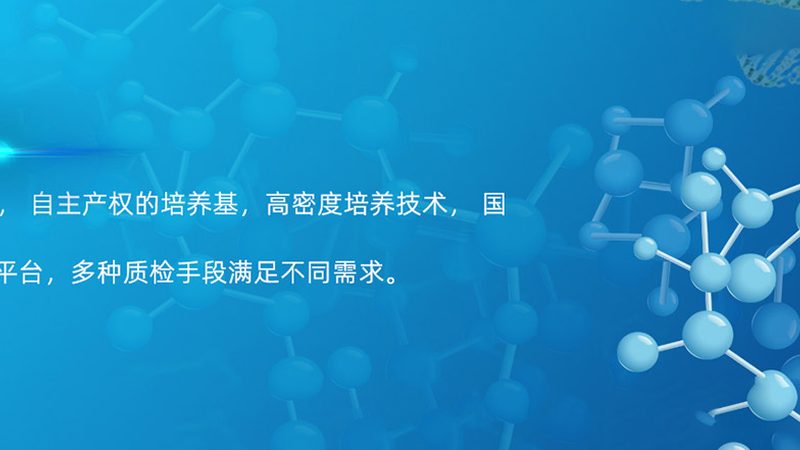 创新药CDMO：揭秘制药企业的“隐形翅膀
