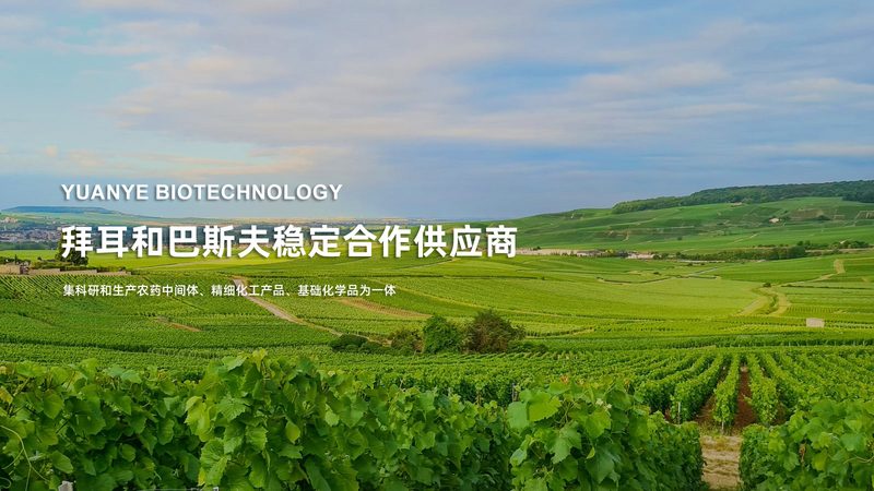 CRO优化方案定制不是越贵越好