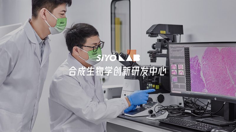 生物医药外包合同参数设定的关键考量**