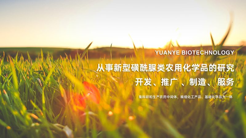 北京生物医药CDMO：揭秘其关键角色与选择要点