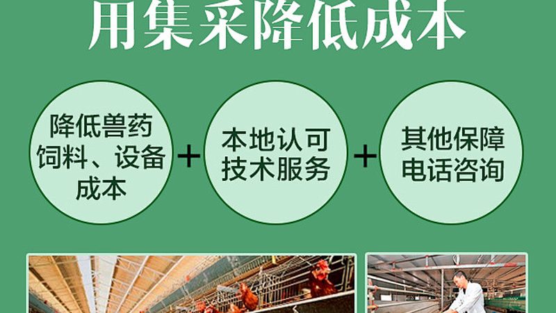 CDMO行业客户画像：解码医药研发背后的力量