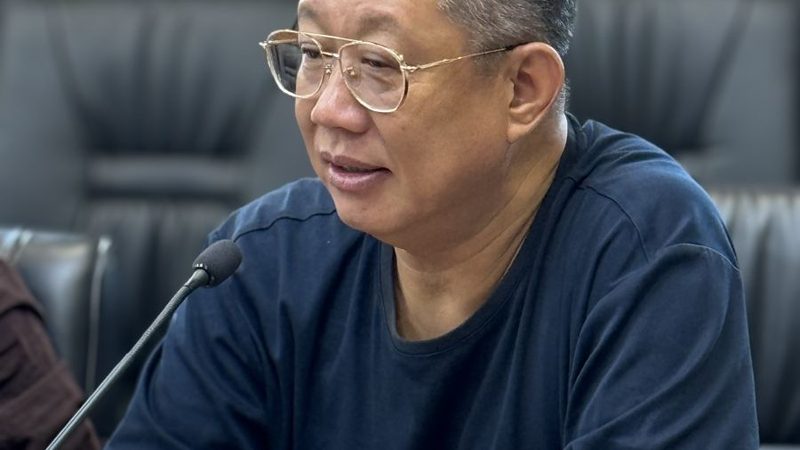 中国CDMO龙头企业分类解析：揭秘行业领军者