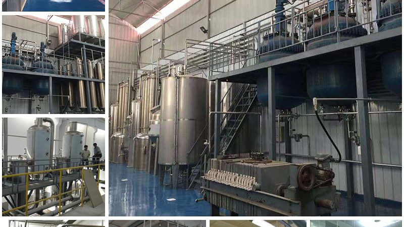 引物合成质量如何保障？关键评估指标解析