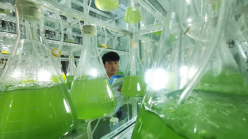 生物医药冷链物流：如何确保药物安全送达**